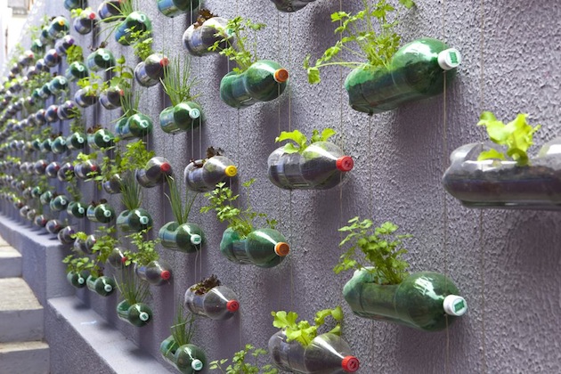 Urban garden made from plastic bottles